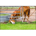 Fabricant direct Low Price Metal Livestock Farm Fence